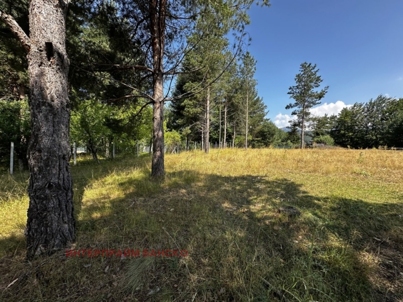 À vendre  Parcelle région Blagoevgrad , Razlog , 410 m² | 37073837 - image [13]