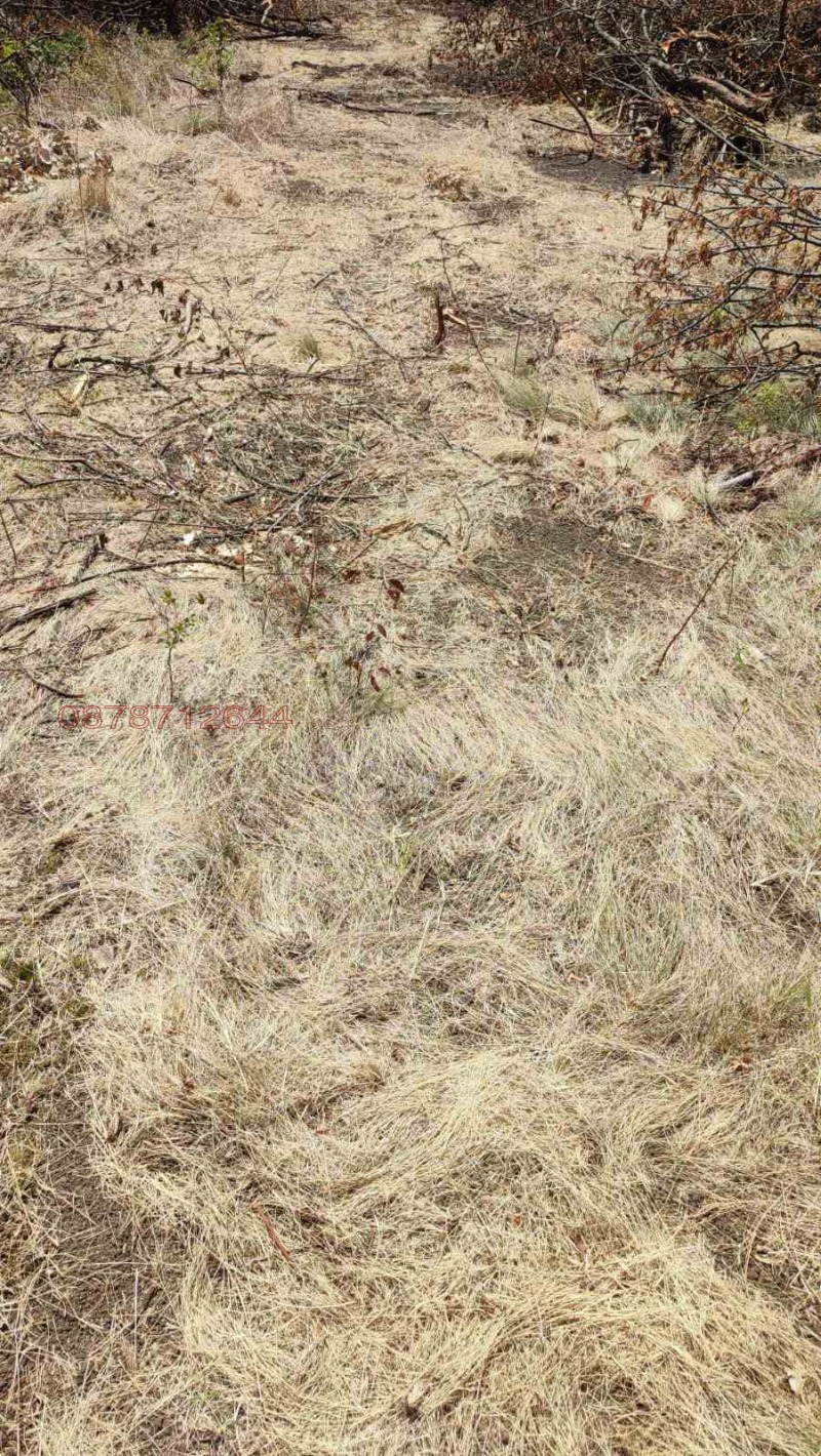 Продава ЗЕМЕДЕЛСКА ЗЕМЯ, с. Сейдол, област Разград, снимка 3 - Земеделска земя - 52785543