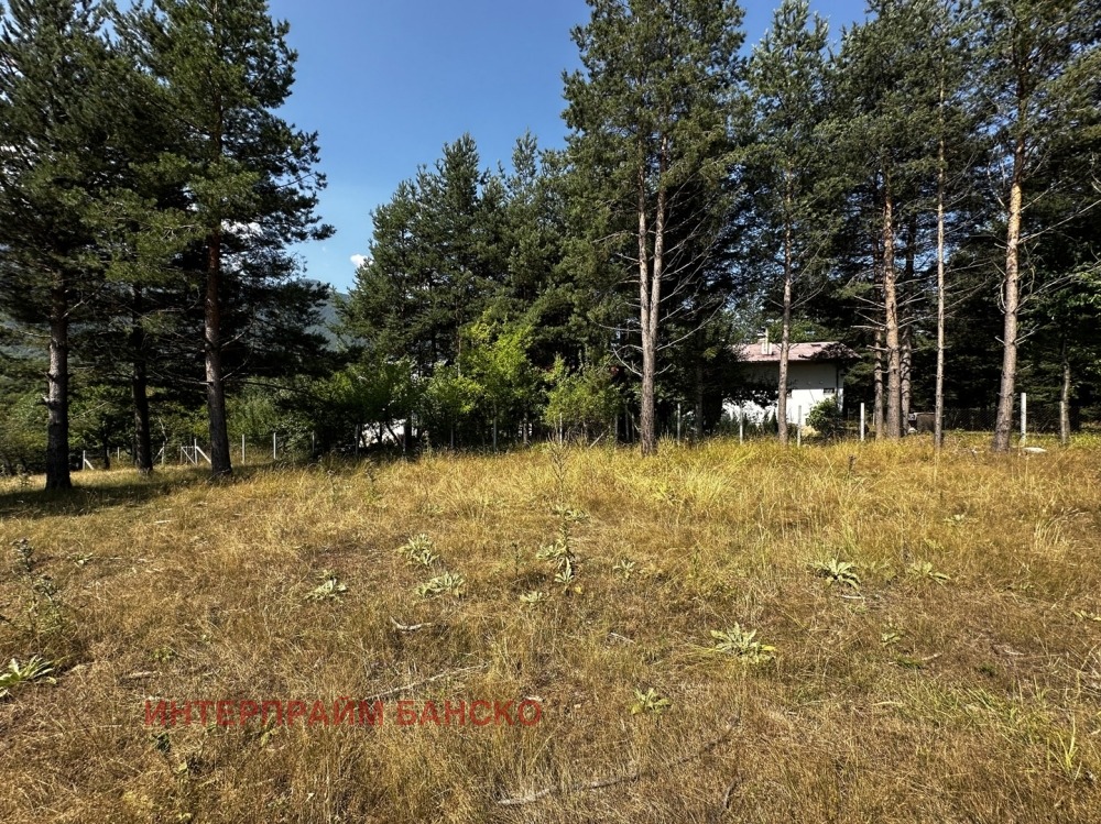 Продава ПАРЦЕЛ, гр. Разлог, област Благоевград, снимка 10 - Парцели - 56743506