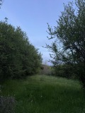 Продава ПАРЦЕЛ, област София, с. Долно Камарци • 79900 € • 51713931 — Holmes.bg