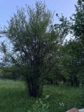 Продава ПАРЦЕЛ, област София, с. Долно Камарци • 79900 € • 51713931 — Holmes.bg