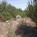 Продава ПАРЦЕЛ, област София, гр. Костинброд • 150000 € • 98313970 — Holmes.bg