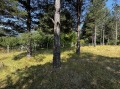 Продава ПАРЦЕЛ, област Благоевград, гр. Разлог • 40000 € / 78233.20 лв. • 17153594 14