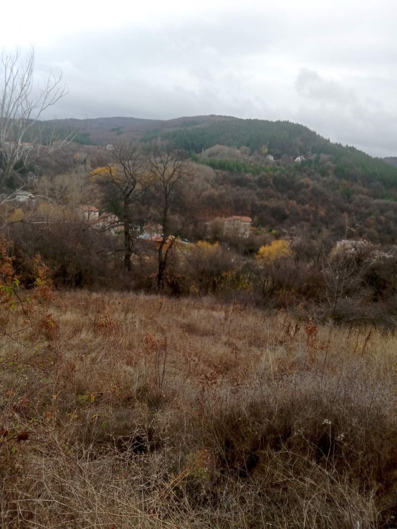 Продава ПАРЦЕЛ в град София, с. Мърчаево - 1552 кв.м / 132 000 € » 258 169.56 лв., МЕЧТАН ДОМ