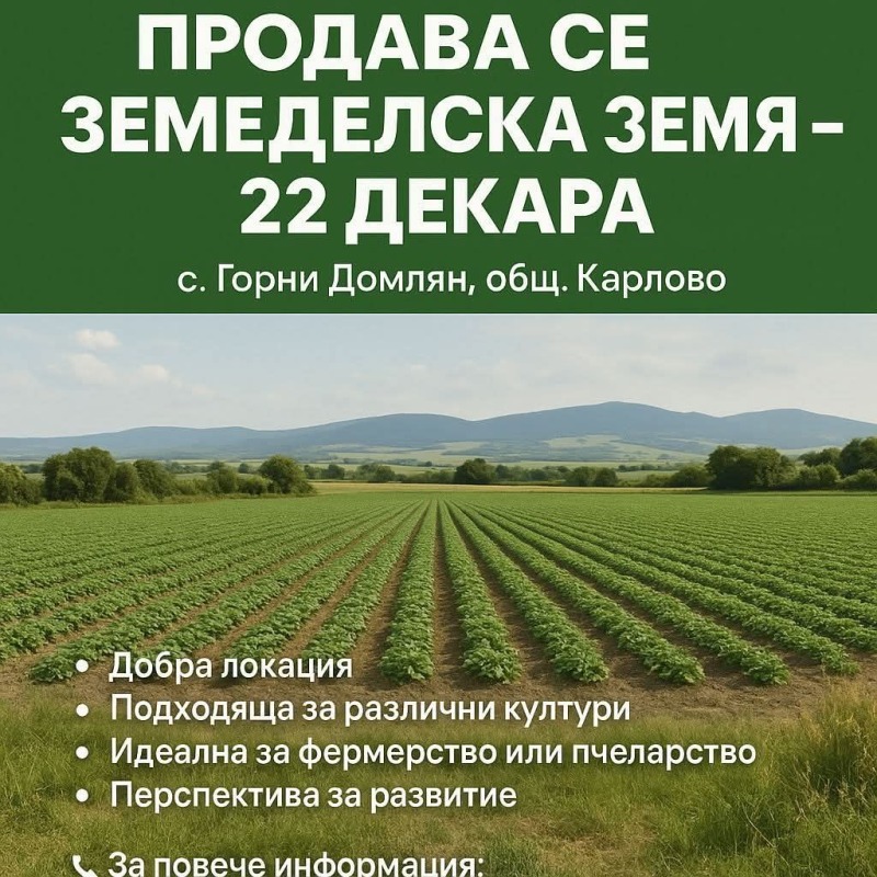 Продава ЗЕМЕДЕЛСКА ЗЕМЯ в област Пловдив, с. Горни Домлян - 22 дка / 19 980 € » 39 077.48 лв., НЕДВИЖИМИ ИМОТИ В БЪЛГАРИЯ