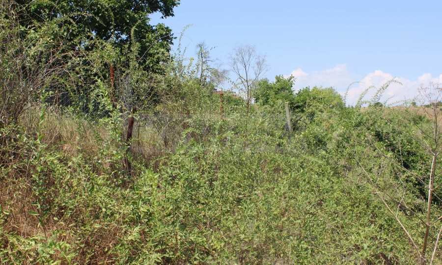 Продава ПАРЦЕЛ | Imot.bg — изображение 6