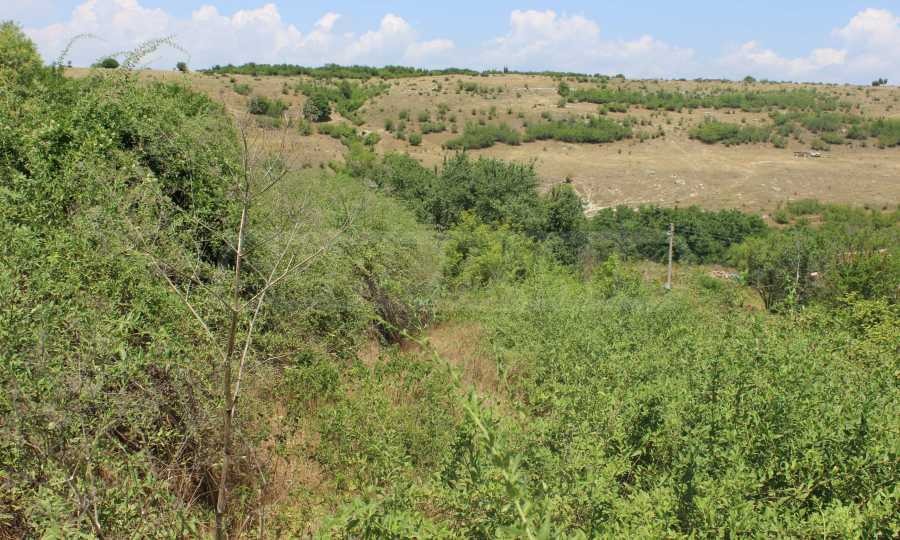 Продава ПАРЦЕЛ | Imot.bg — изображение 5