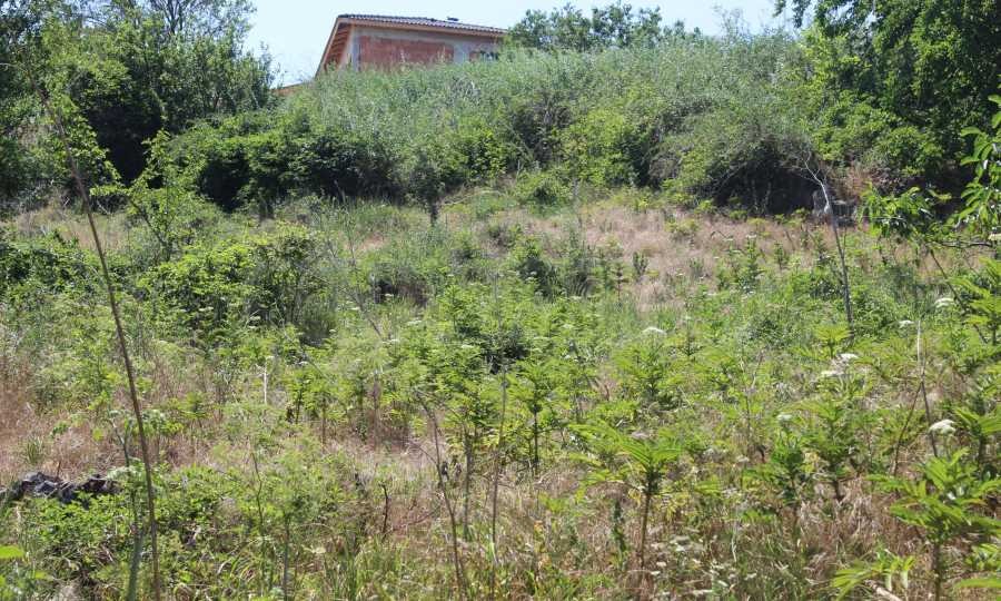 Продава ПАРЦЕЛ | Imot.bg — изображение 7