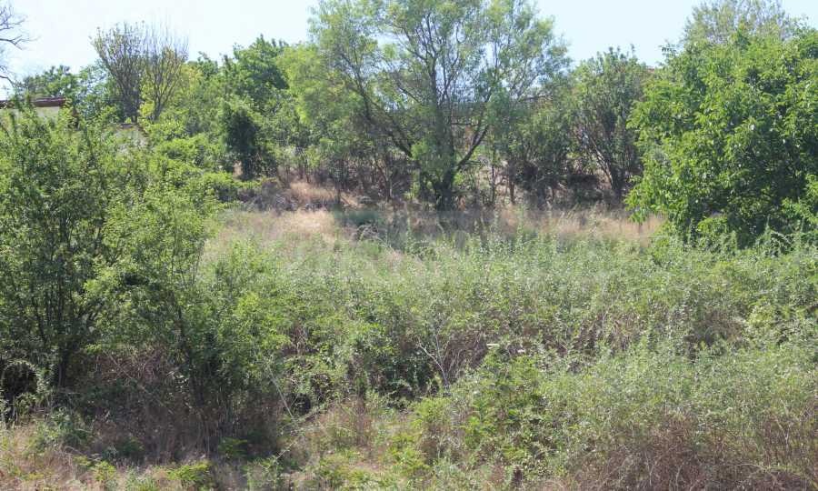 Продава ПАРЦЕЛ | Imot.bg — изображение 3