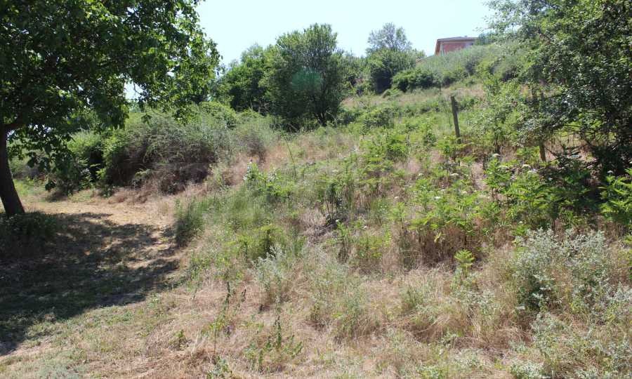 Продава ПАРЦЕЛ | Imot.bg — изображение 4