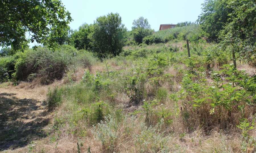 Продава ПАРЦЕЛ | Imot.bg — изображение 12