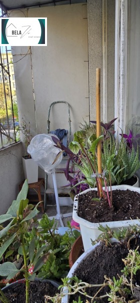 ������� 2-����� | Imot.bg � ����� ������ 15