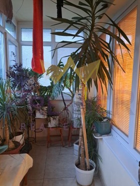 ������� 4-����� | Imot.bg � ����� ������ 13