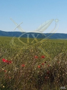 ������� ������ | Imot.bg � ����� ������ 5