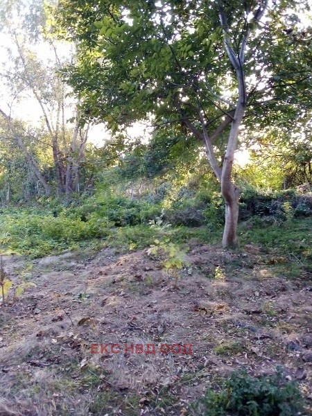 For Sale  Plot region Plovdiv , Sadovo , 2070 sq.m | 71261574 - image [2]