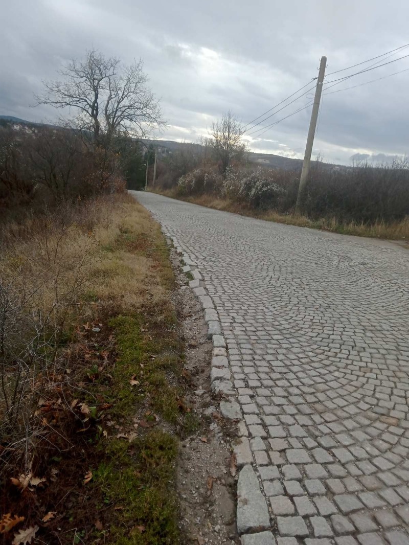 Продава ПАРЦЕЛ, гр. София, с. Мърчаево, снимка 4 - Парцели - 52623386