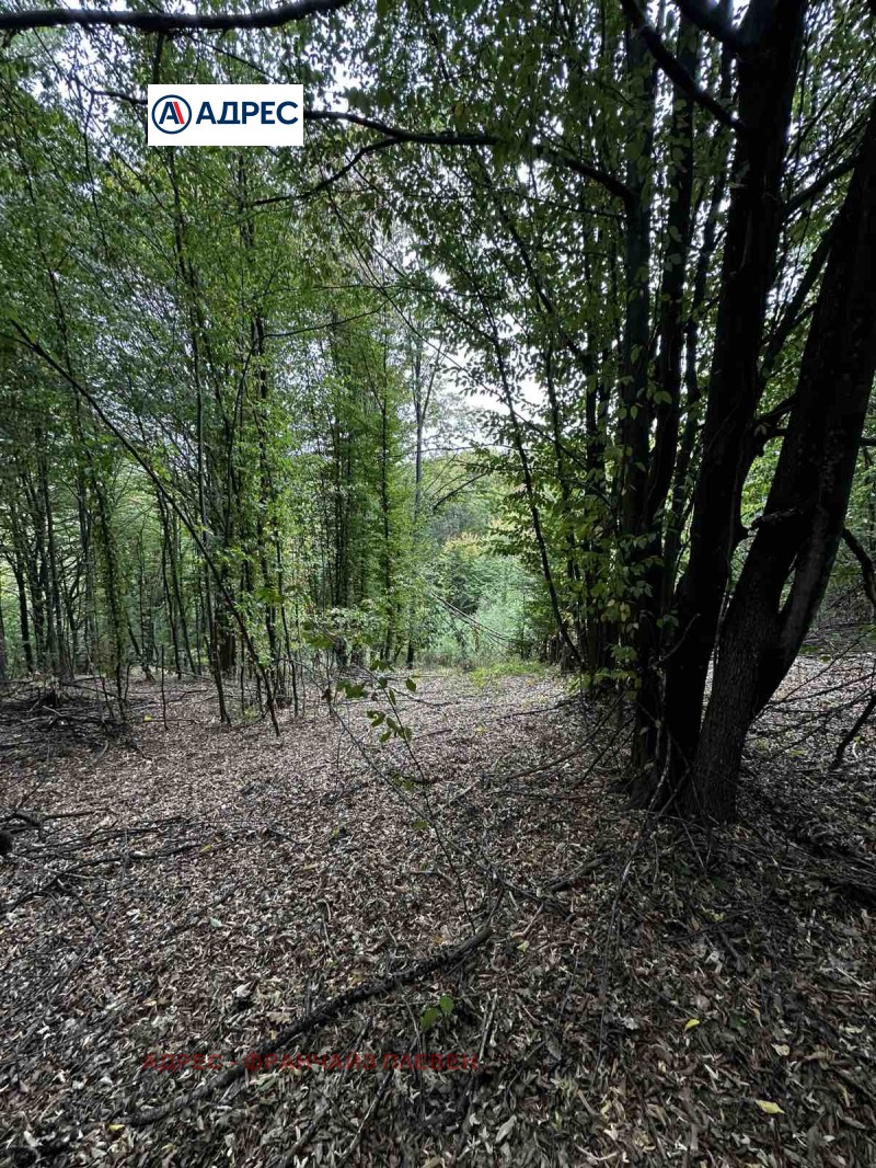 Na prodej  Přistát oblast Loveč , Trojan , 27 dka | 72334261 - obraz [7]