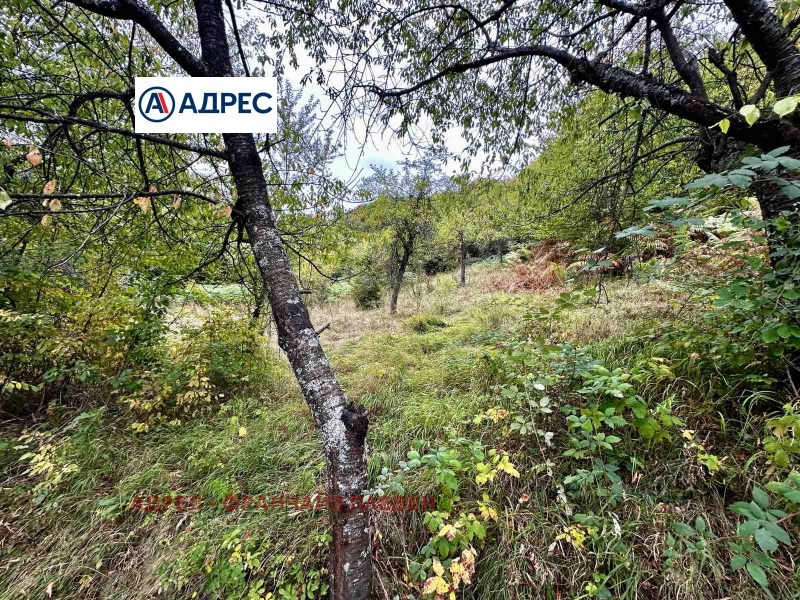 Na prodej  Přistát oblast Loveč , Trojan , 27 dka | 72334261 - obraz [6]