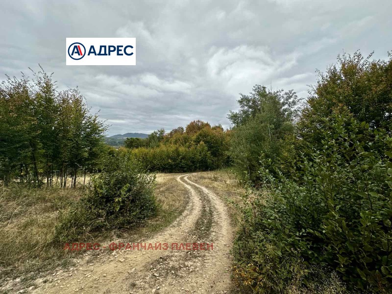Na prodej  Přistát oblast Loveč , Trojan , 27 dka | 72334261