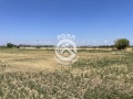 Продава ПАРЦЕЛ, с. Марково, област Пловдив, снимка 5