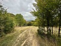 Продава ЗЕМЕДЕЛСКА ЗЕМЯ, гр. Троян, област Ловеч, снимка 2