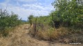 Продава ПАРЦЕЛ, област София, с. Горна Василица • 8500 € • 81006654 — Holmes.bg