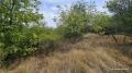 Продава ПАРЦЕЛ, област София, с. Горна Василица • 8500 € • 81006654 — Holmes.bg