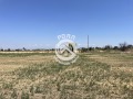 Продава  Парцел област Пловдив , с. Марково , 646 кв.м | 50759607 - изображение [3]