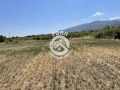 Продава  Парцел област Пловдив , с. Марково , 646 кв.м | 50759607 - изображение [6]
