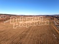 Продава  Земеделска земя област София , с. Рельово , 5.001 дка | 51506370 - изображение [3]