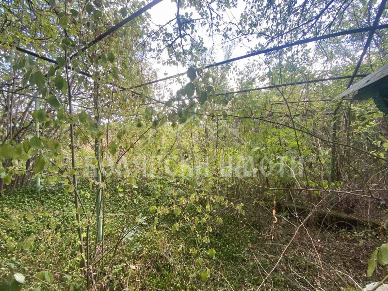 Продава  Къща област Велико Търново , с. Пчелище , 100 кв.м | 99339921 - изображение [5]