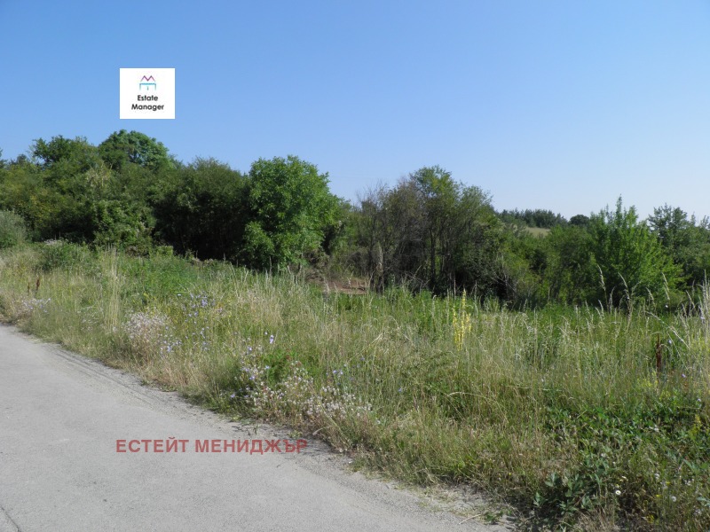For Sale  Plot Sofia , Bistritsa , 1954 sq.m | 29068268 - image [6]
