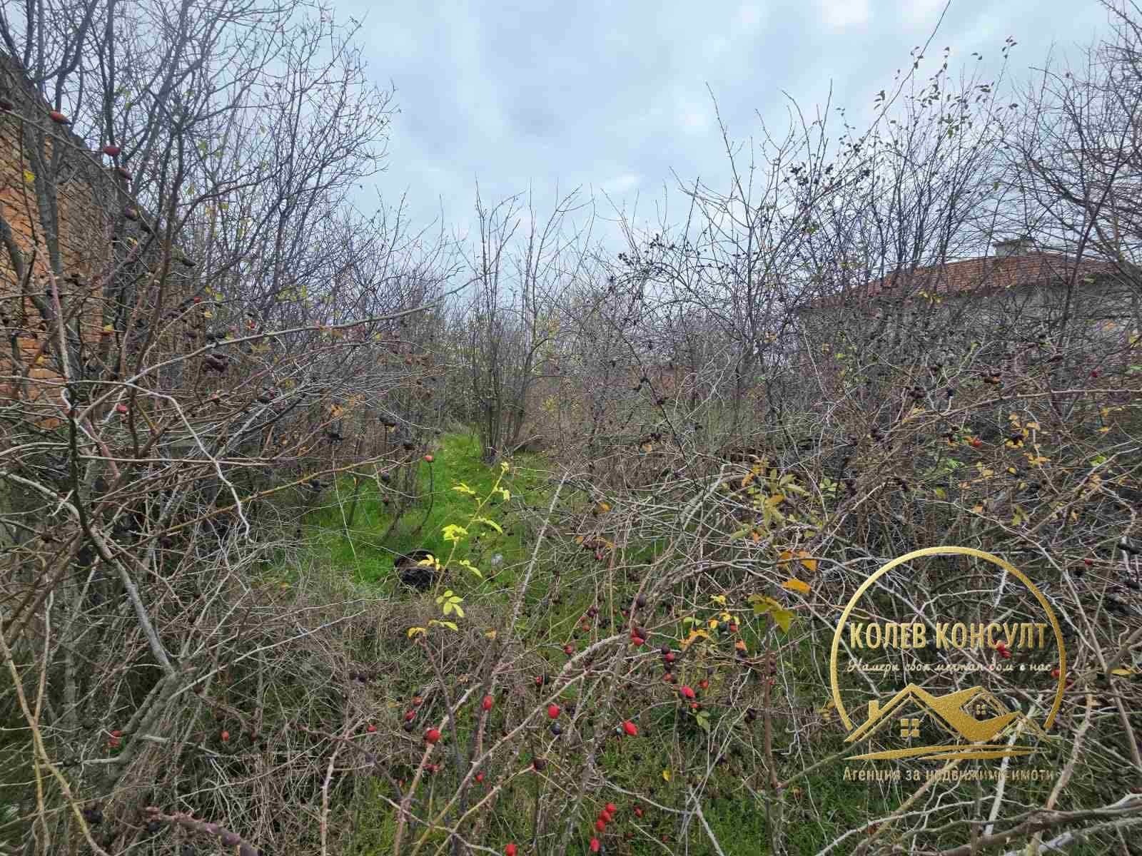 Продава КЪЩА, гр. Димитровград, област Хасково, снимка 3 - Къщи - 54285224