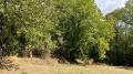 Продава ПАРЦЕЛ, с. Мрахори, област Габрово, снимка 1