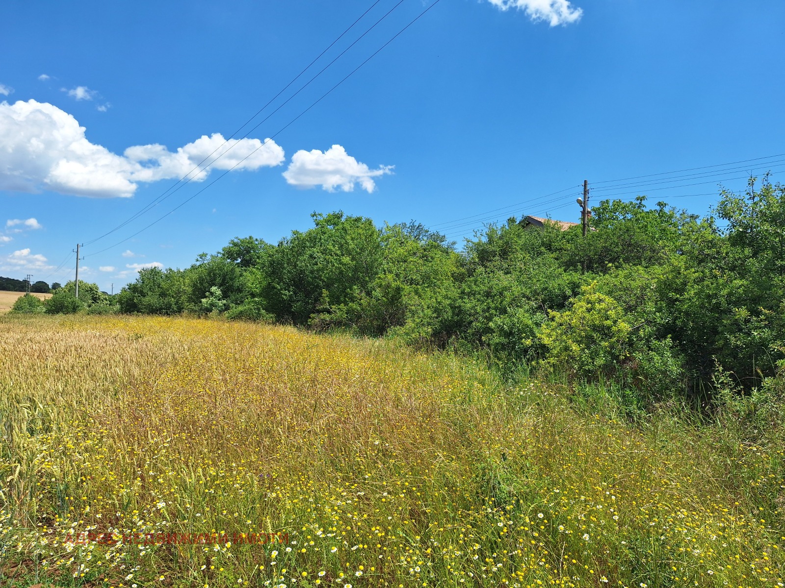 ������� ������ | Imot.bg � ����������� 2
