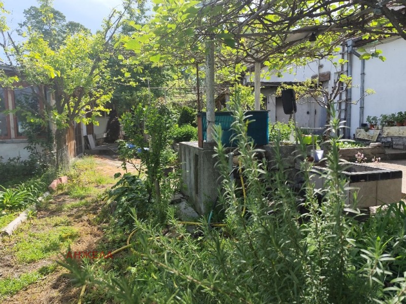 Til salg  Hus region Pazardzhik , Hadzhievo , 260 kvm | 45370797 - billede [3]