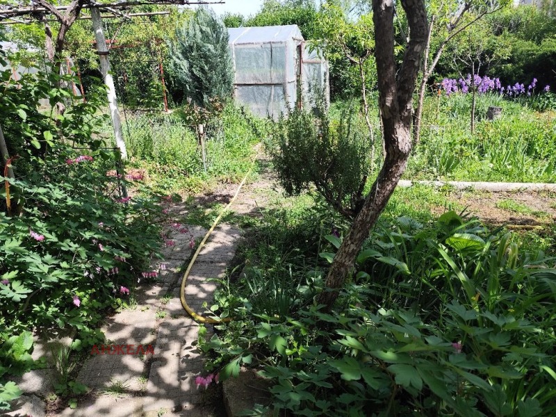 Til salg  Hus region Pazardzhik , Hadzhievo , 260 kvm | 45370797 - billede [4]