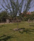 Продава КЪЩА, с. Войводиново, област Пловдив, снимка 3