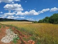 Продава ПАРЦЕЛ, с. Малка Верея, област Стара Загора, снимка 3
