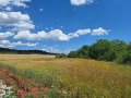 Продава ПАРЦЕЛ, с. Малка Верея, област Стара Загора, снимка 1