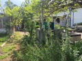Продава КЪЩА, с. Хаджиево, област Пазарджик, снимка 2