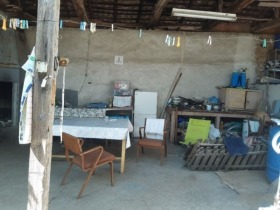 Hus Tserovo, region Sofia 1