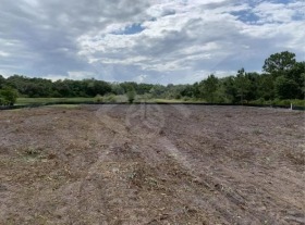Парцел град Бургас, Лозово