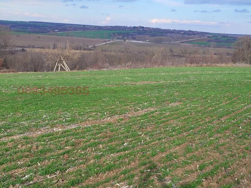 Продава КЪЩА, с. Сечище, област Шумен, снимка 6 - Къщи - 52769820