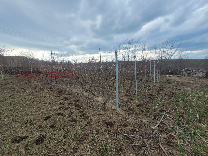 Продава КЪЩА, с. Сечище, област Шумен, снимка 3 - Къщи - 52769820