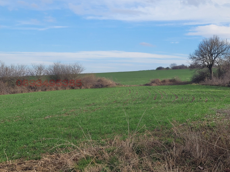 Продава КЪЩА, с. Сечище, област Шумен, снимка 5 - Къщи - 52769820