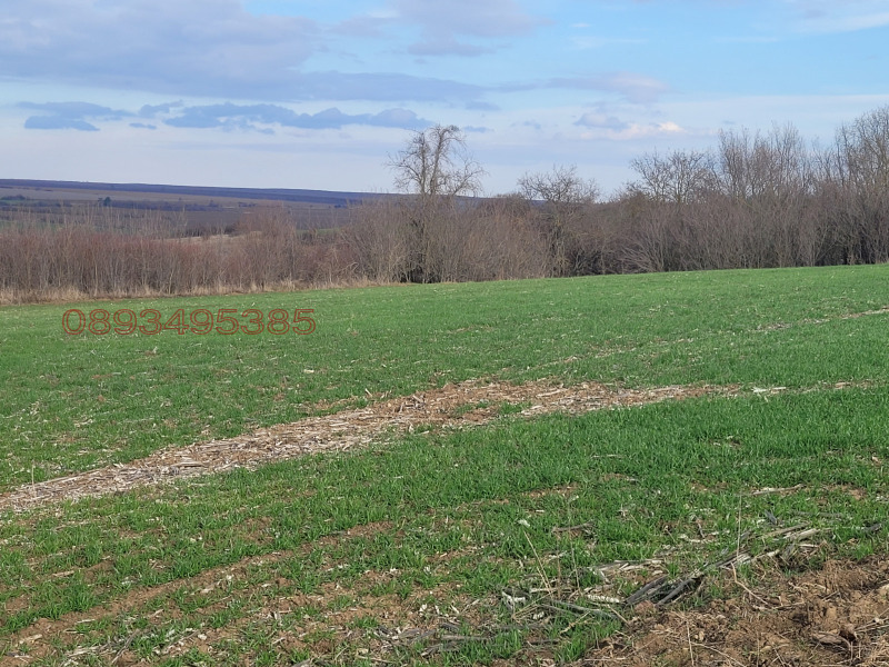 Продава КЪЩА, с. Сечище, област Шумен, снимка 4 - Къщи - 52769820