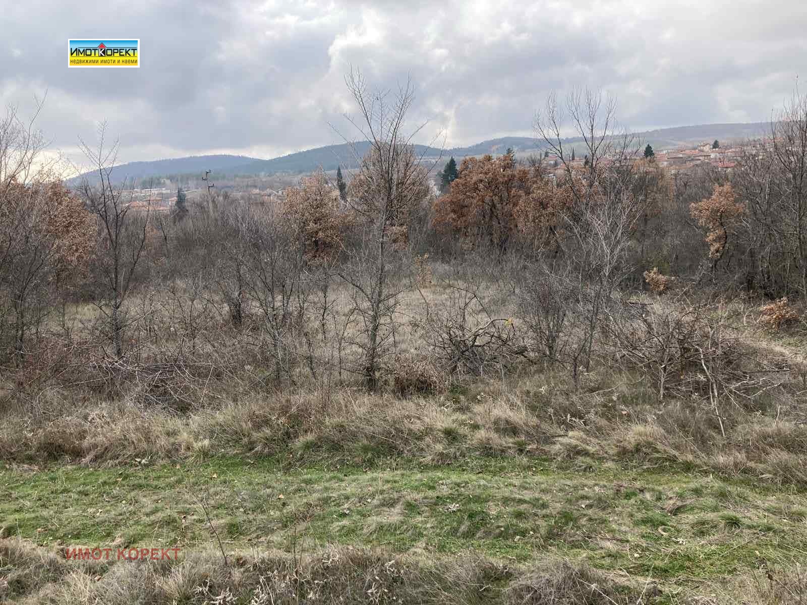 ������� ������ | Imot.bg � ����������� 7