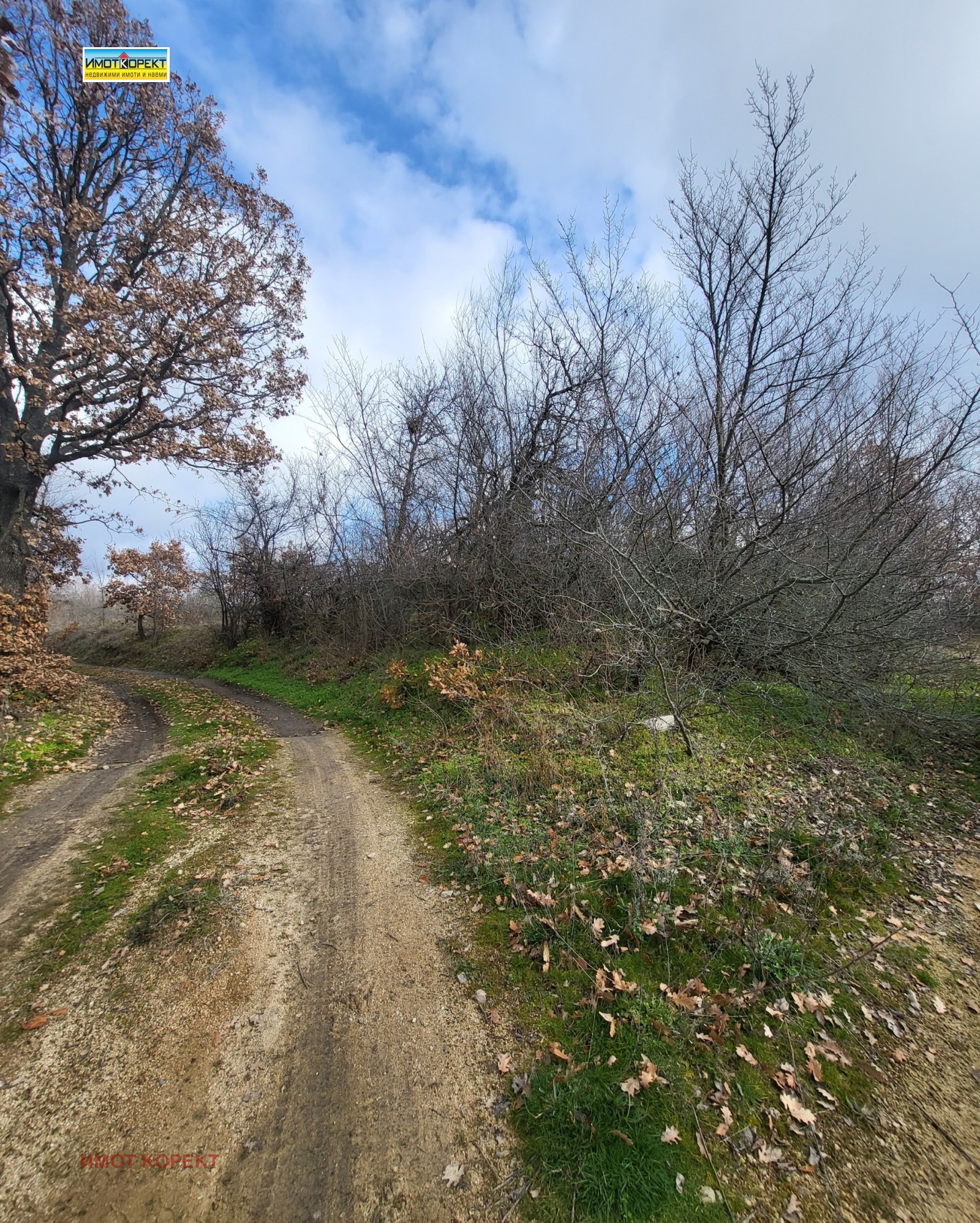 ������� ������ | Imot.bg � ����������� 6