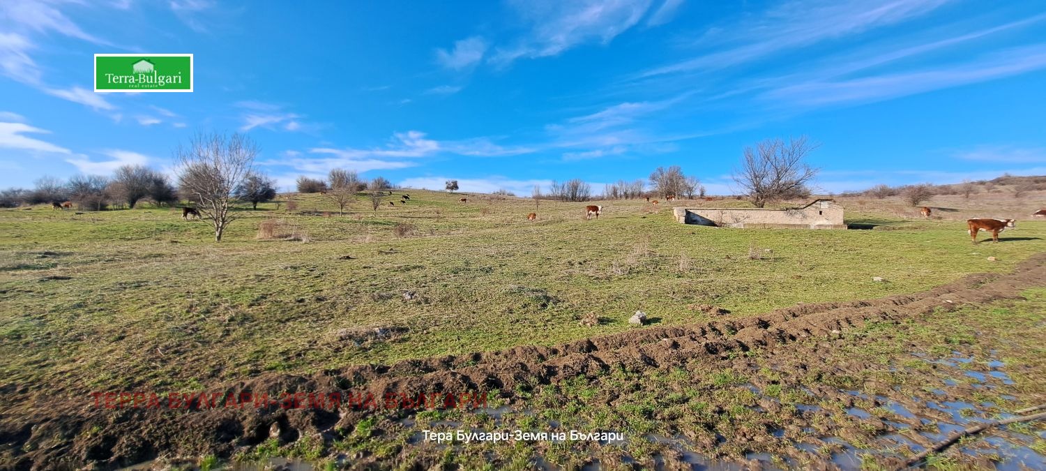 ������� ���������� ���� | Imot.bg � ����������� 8